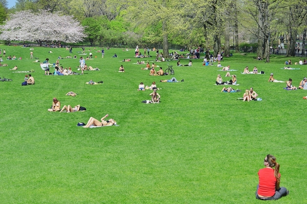 Photograph Mitchell Funk The Lawn on One Eyeland